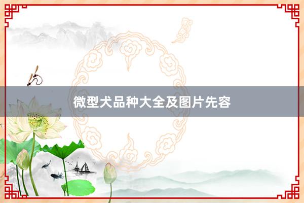 微型犬品种大全及图片先容