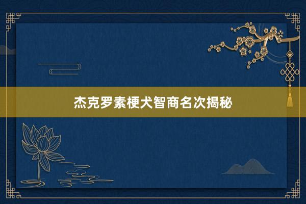 杰克罗素梗犬智商名次揭秘
